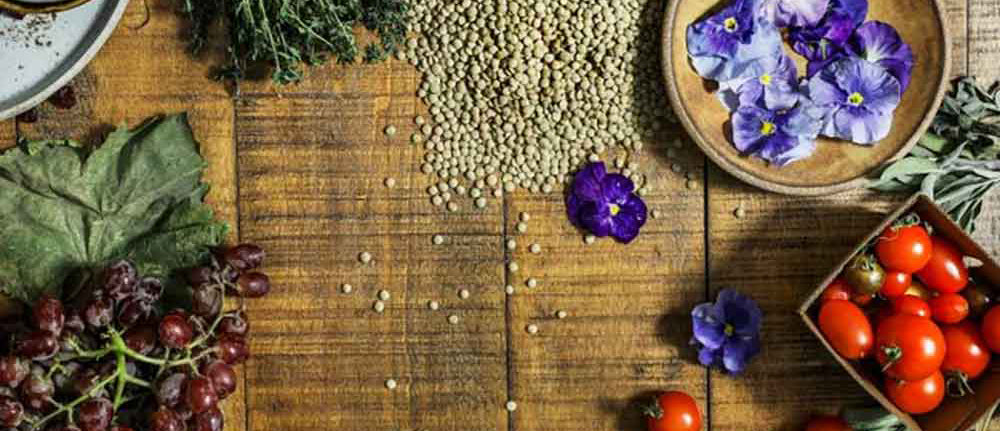 What are the benefits and sources of plant protein?