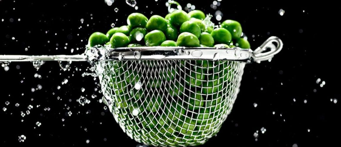 pea based plant protein