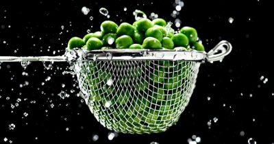 pea based plant protein